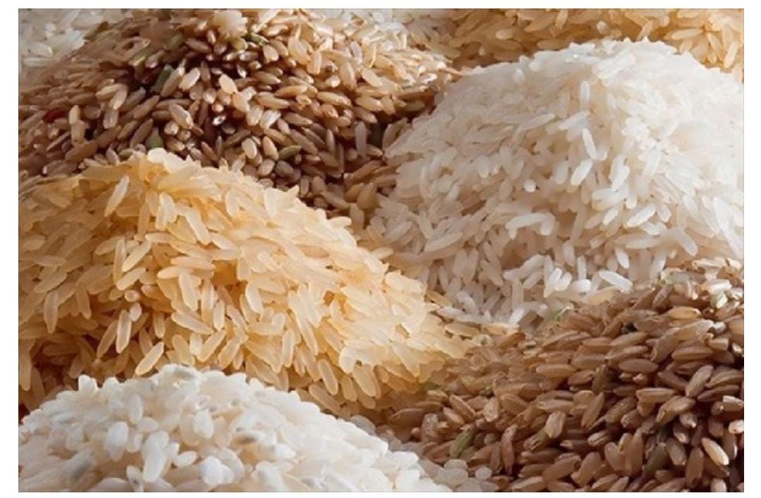 L’Inde autorise l’exportation de 475 000 tonnes de riz vers le Cameroun, la Côte d’Ivoire et la Guinée !